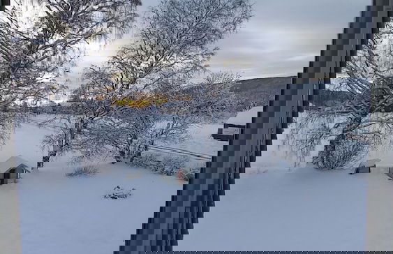 Forest Family Home - Foto 79