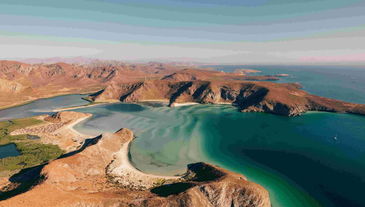 Excursion à la plage de Balandra + Baignade avec les otaries
