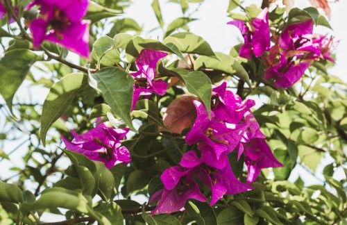 Il Segreto Dei Viaggiatori - KIEV - Foto 23