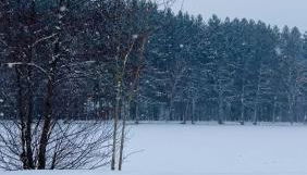 Maison Maneki Chalet Évasion 8 personnes en bord de lac - Foto 3