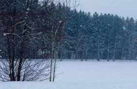 Maison Maneki Chalet Évasion 8 personnes en bord de lac - Foto 3
