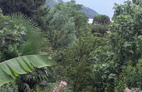 Appartamenti Raineri - Foto 15