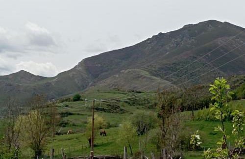 "Descanso en Babia " VUT-LE-483 - Foto 6