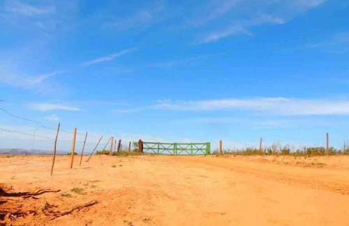 #casinhadasbananeiras - Foto 32