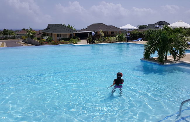 Ocho Rios Villa at Coolshade III - Photo 49