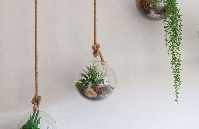 The Ravenscourt Park Collection - Foto 20