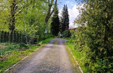 Doppelhaushälfte Ostwind vom Naturhof Usedom - Foto 38