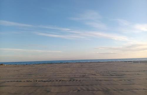 Lovely house tra pineta e mare - Foto 36