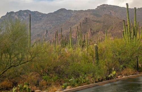 La Casa at Canyon View -Ventana - Foto 22