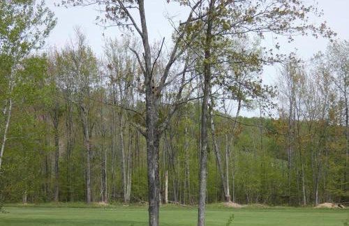 Greenside at Schuss Mountain - Foto 9