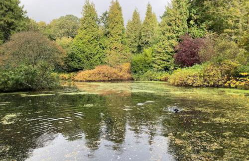 Woodland Cottage Charleton Estate - Foto 15