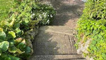 Ferienwohnung zum Zauberwald - Foto 4