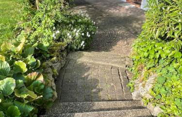 Ferienwohnung zum Zauberwald - Foto 4