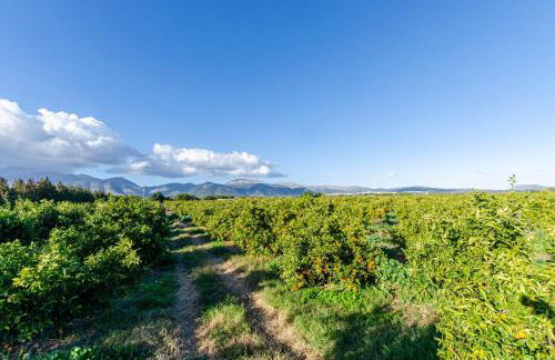 El Limonar De Mallorca - Foto 10