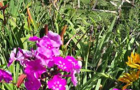 Domki i Apartamenty Rogate Anioły - Photo 26