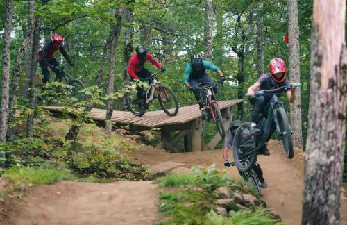 Cozy Log Cabin- W Fireplace - Foto 50