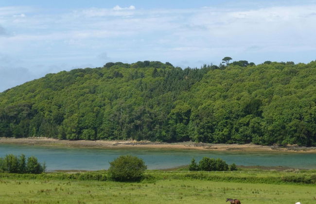 House in Saint-quay Near 7 Beaches - Photo 28