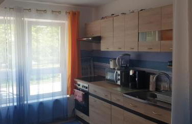 Cozy central APARTMENT Leopoldstrasse -3,5 rooms with sauna and garden - Foto 15