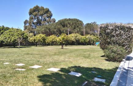 Monte Girassol - The Lisbon Country House - Foto 8