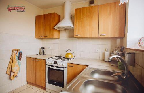 Owocowy Raj Nad Zalewem - Photo 50