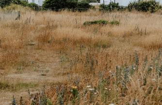 West Cottage by Bloom Stays - Photo 37