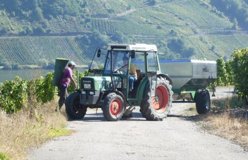 Hausboot Moselrose in Pölich - Foto 45