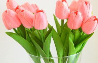 Monolocale Pordenone centro - Foto 19