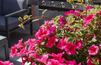 Agroturystyka Pod Dębem - Foto 22