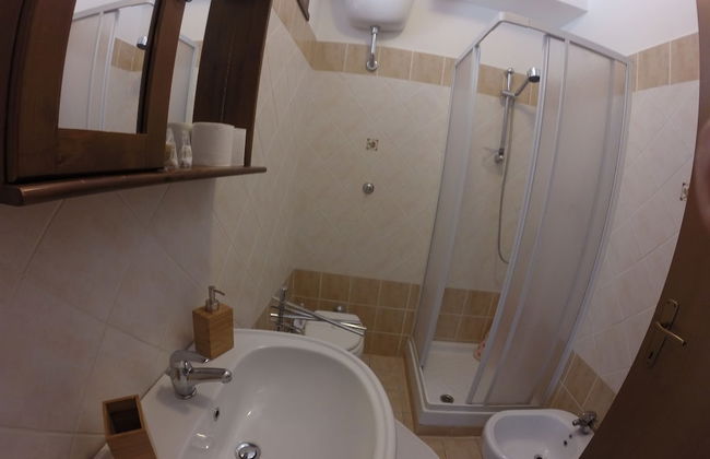 I Cardinali - Foto 14