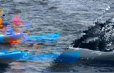 Svartá River Kayak Tour - Photo 8