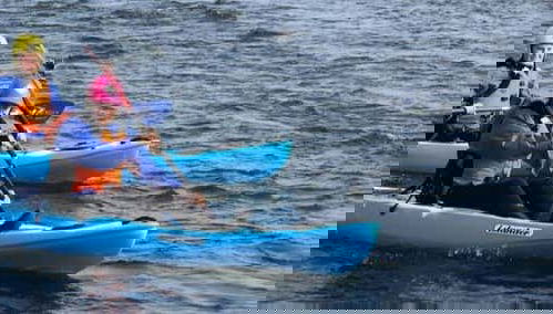 Svartá River Kayak Tour - Foto 1