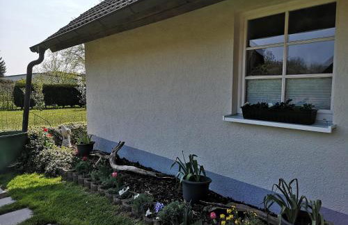 Boddenhus auf Rügen - Ferienwohnungen und Pension - Foto 38