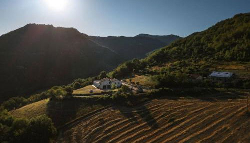 La Volpe Bianca - Foto 5