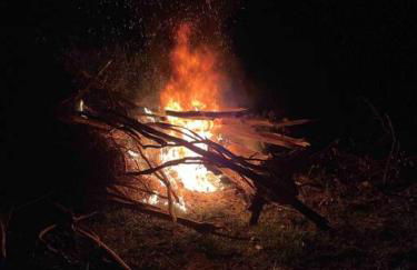 Hilltop Haven w/Creek&Waterfall Dntwn McCaysville - Photo 13