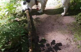 Haus Wander-Lust - Foto 14