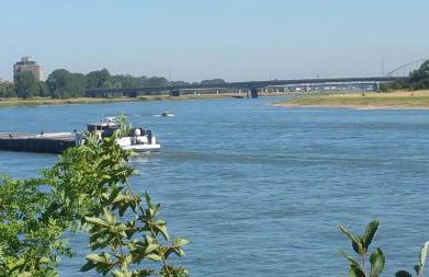 Erftmündung - Foto 19