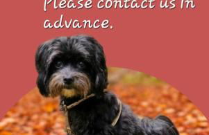 Ferienapartment Heimatgefühl - Foto 15