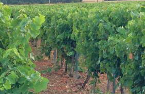 Chez Mi-Chèle - Foto 19