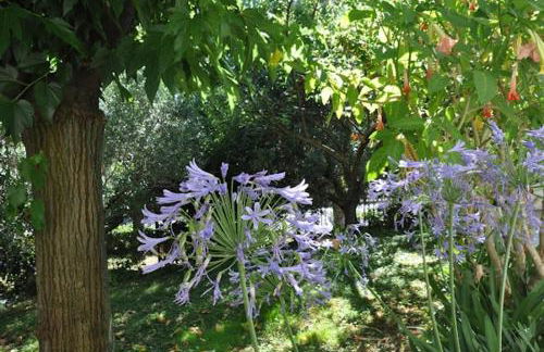 Le More del Gelso - Foto 17