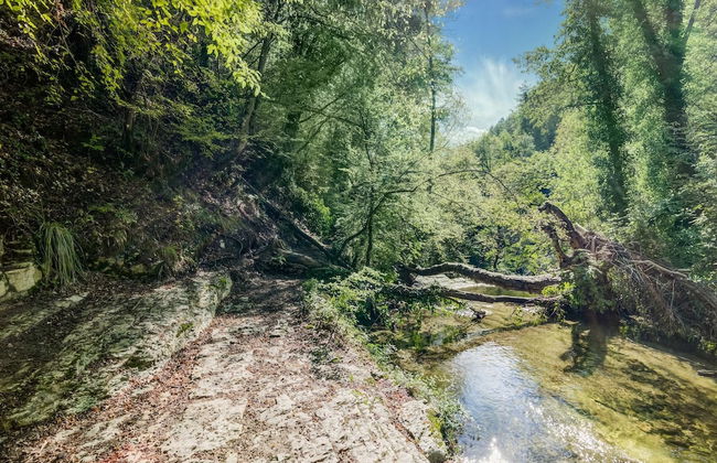 Family Mill Stay With BBQ - Foto 30