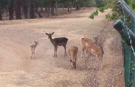 Casa Bellavista con piscina en Caldes Costa Brava - Foto 124