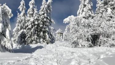 Bergkristall - Foto 5