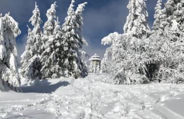 Bergkristall - Foto 5