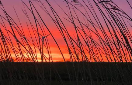 Heel wat besünners - Foto 32