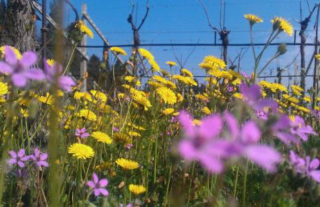 Residenza Eden - Foto 46