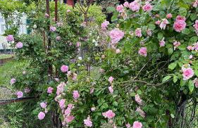 Villa Ponzio - Photo 41