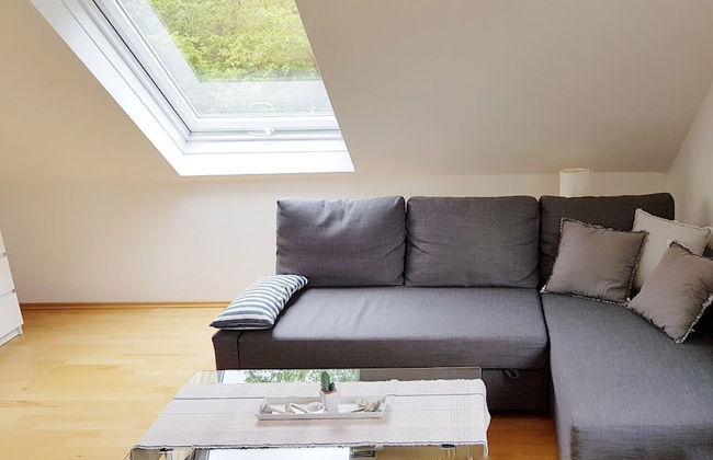 Bos en Kasteel - Foto 6