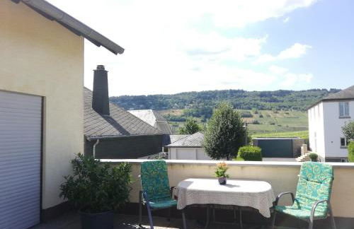 Wein-und Gästehaus Alfons Bollig - Foto 16