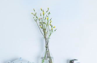 Kitehouse Ušće B&B - Foto 20