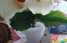 Lazzaretto vivienda uso turístico - Foto 44